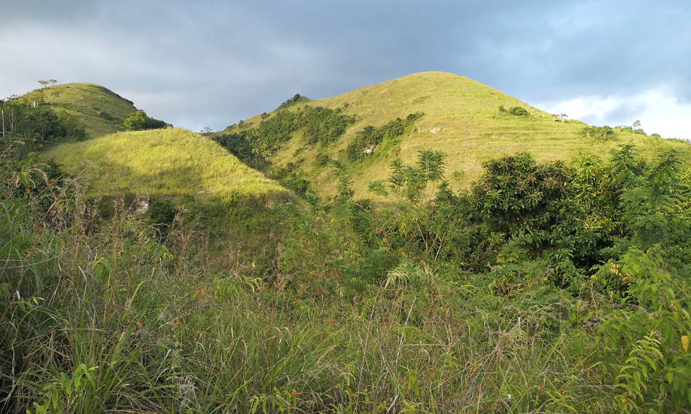Teletubis Hill (4)
