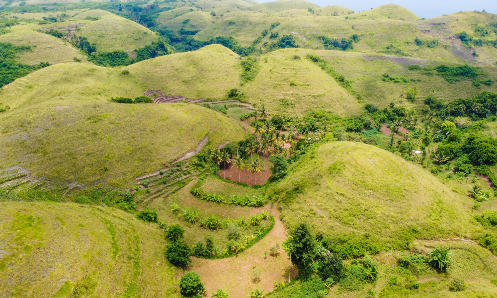 Teletubis Hill